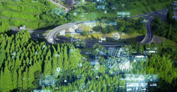 Fotografía de carreteras en un bosque